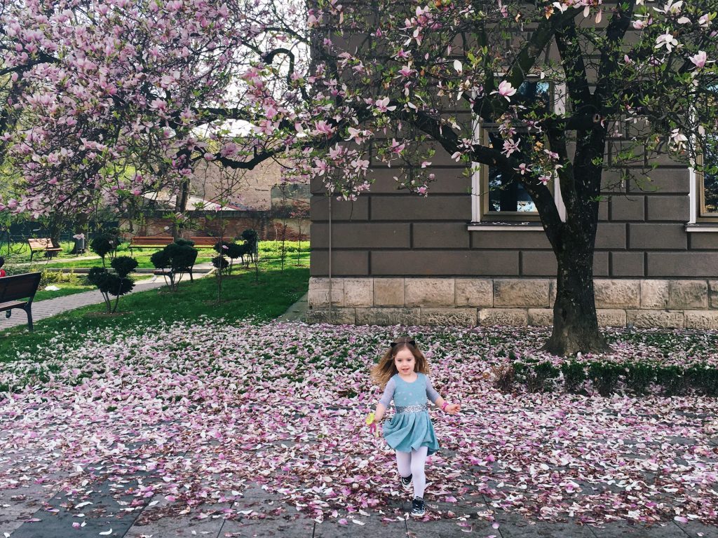 Morana ispod brodske magnolije na Korzu, 2018.
