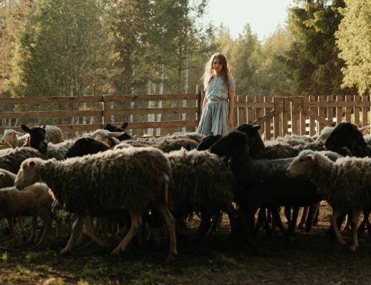 Photo by cottonbro studio: https://www.pexels.com/photo/group-of-people-standing-on-green-grass-field-4921210/